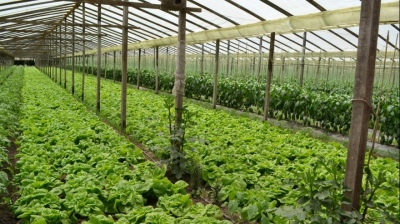 Provincia destinará 57 millones de pesos para proyectos agroecológicos
