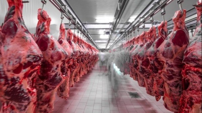 Carne: Gremios temen despidos por el cierre de la exportación