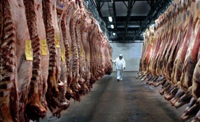 Fesitcara ve con "buenos ojos" la flexibilización de la exportación de carne