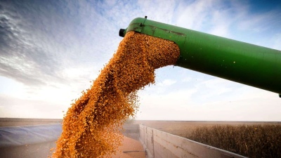 La CARBAP sobre las limitaciones a la exportación del maíz: "Pueden destruir el mercado interno"