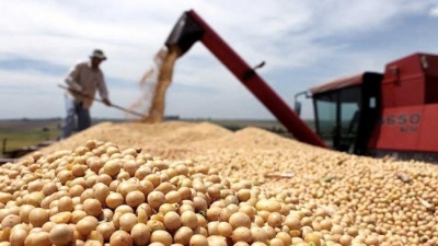 FADA anunció que las exportaciones agroindustriales fueron históricas