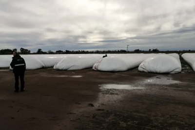 La AFIP incautó más de 6 mil toneladas de granos sin declarar en la Provincia