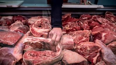 El Gobierno negó el cierre de las exportaciones de carne