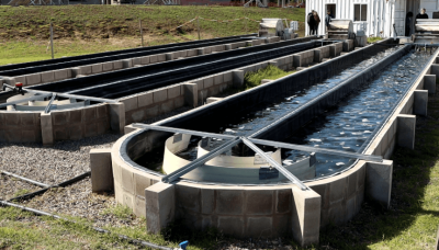 Arrancó a funcionar la primera planta de tratamiento de aguas con microalgas de la Argentina