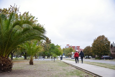 La Municipalidad de La Plata estableció el nivel de alerta "Amarillo" por vientos