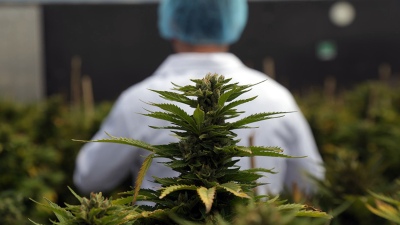 Un hospital de la Provincia brindará talleres de cannabis a residentes