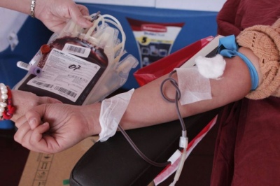 Día Nacional del Donante de Sangre: Conocé los puntos para donar en la Provincia