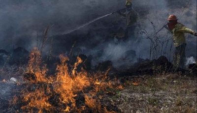 Advierten por "riesgo extremo" de incendios en Mar del Plata hasta el viernes