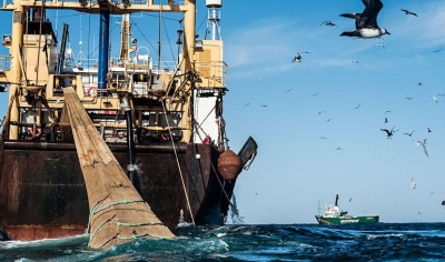 El sector de la Pesca en alerta por las políticas de Milei