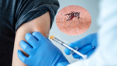 Pese a la crisis sanitaria, el Gobierno no incluirá la vacuna contra el dengue en el calendario