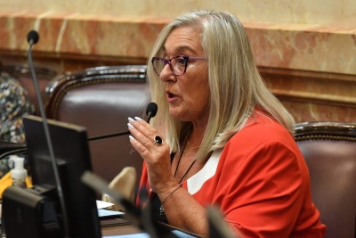Senadora radical denunció amenazas de muerte tras votar en contra del DNU de Milei