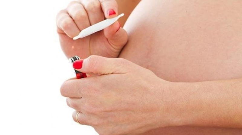 La Defensoría bonaerense se manifestó a favor de “Marihuana Cero” durante el embarazo y la lactancia