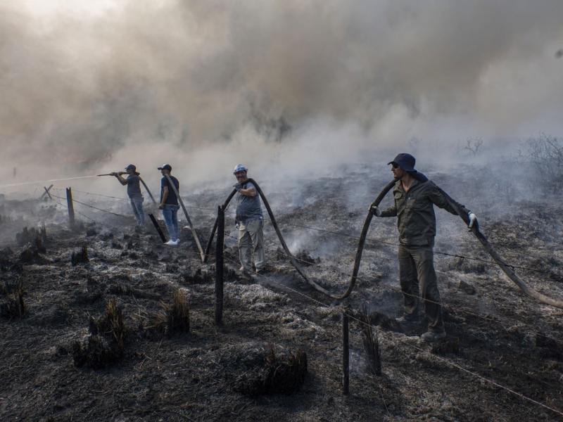 Bomberos bonaerenses actúan en los incendios en Corrientes