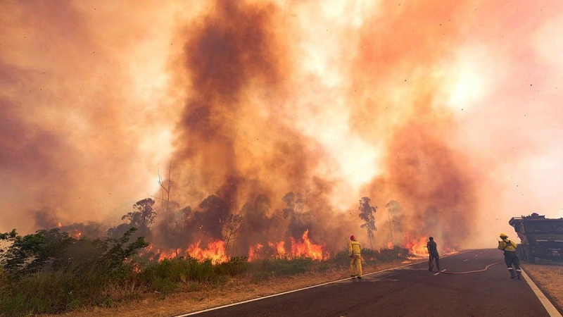 El 80% de los incendios rurales fueron extinguidos