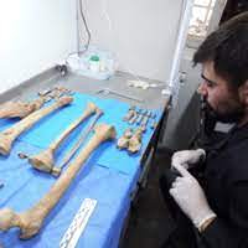 Sebastián Giannotti: ”Las osteotecas se utilizan como fuente de información”