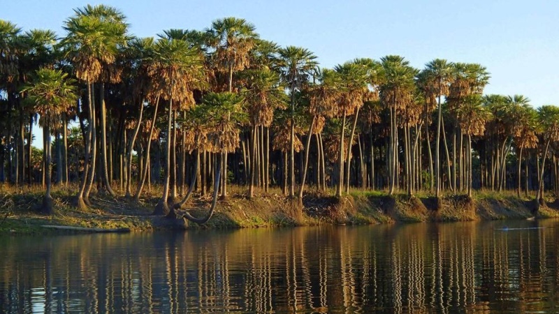 Laguna 'El Palmar': El nuevo parque nacional que propone la Nación