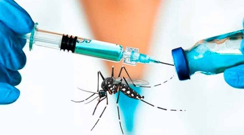 La ANMAT aprobó vacuna japonesa contra el dengue