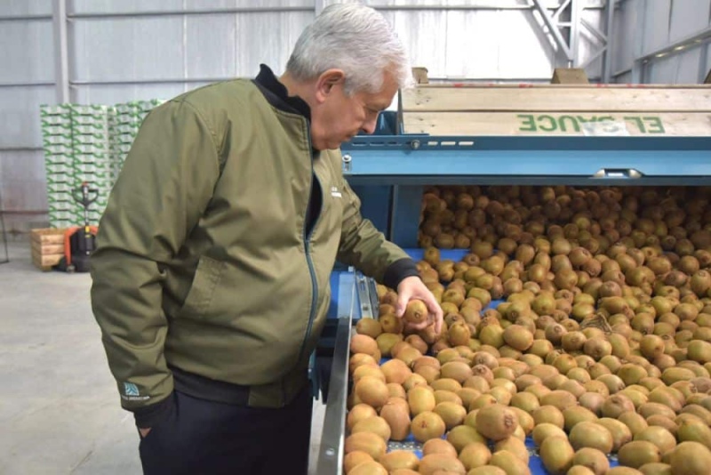 Argentina realizó la primera exportación de kiwi con origen a España