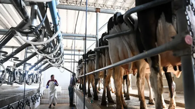 El gobierno oficializó la suspensión de las retenciones para los productos lácteos