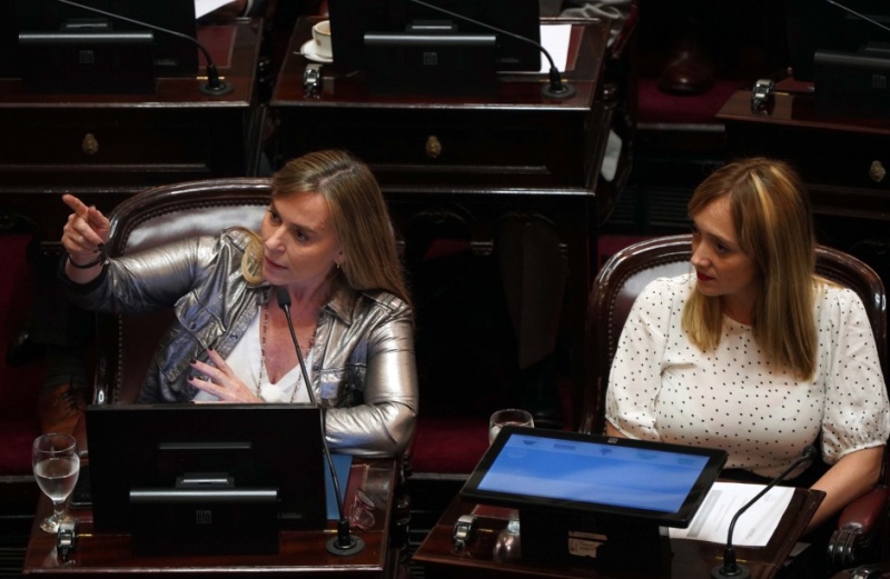 Di Tullio denunció que en el Senado se pagaron coimas por despachos
