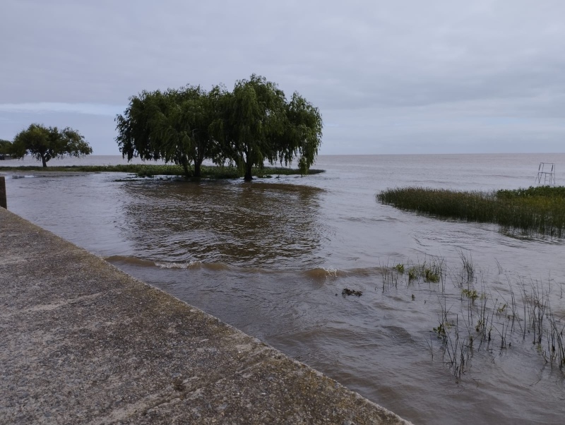 Al menos 90 personas fueron evacuadas por la crecida del Río en Punta Lara