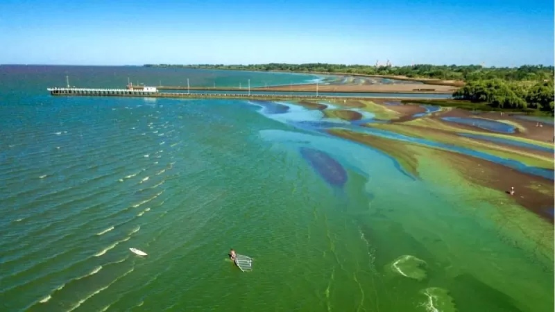 Alerta ambiental: Aumento de cianobacterias en lagunas y ríos de Buenos Aires