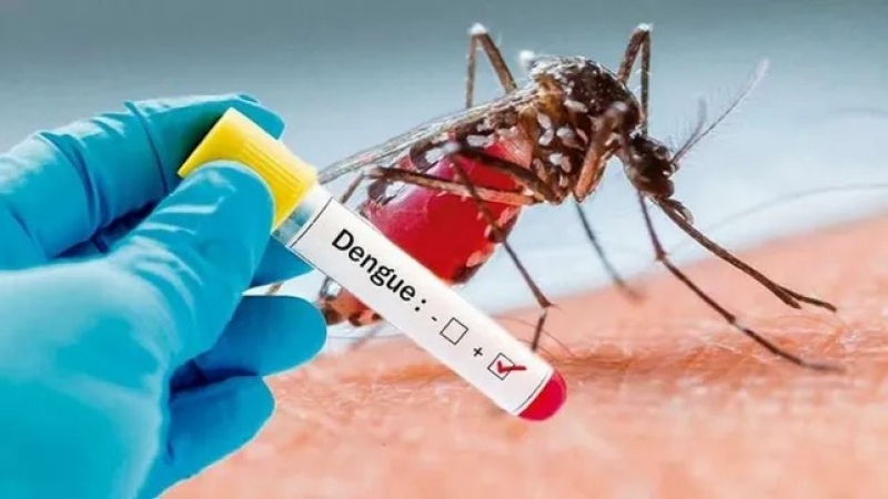 Alerta dengue: Son 26 los municipios con circulación autóctona