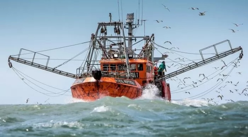 Industriales celebraron la quita de la Ley Ómnibus del capítulo de pesca, pero siguen en alerta