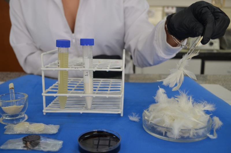 La UNLP desarrollará esponjas para absorber derrames de hidrocarburos